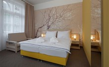 LÁZNĚ JANSKÉ LÁZNĚ - Janské Lázně - hotel TERRA - pokoj BELLIS
