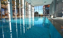 HOTEL & MEDI-SPA BIALY KAMIEŃ - Świeradów - Zdrój - vnitřní bazén