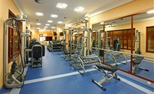 CENTRÁLNÍ LÁZNĚ - Mariánské Lázně - fitness