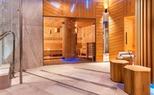 ENSANA THERMAL HÉVÍZ HEALTH SPA HOTEL - Hévíz - Saunový svět