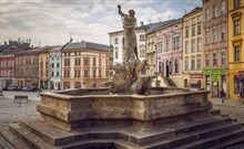 CENTRAL PARK FLORA - Olomouc - Olomouc