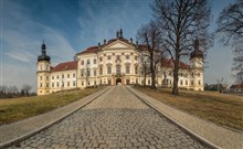 CENTRAL PARK FLORA - Olomouc - Olomouc