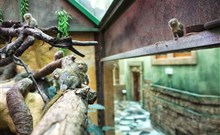 BABYLON - Liberec - Atrium hotelu - mini ZOO