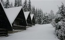MAREDIS - Kořenov