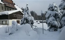 MAREDIS - Kořenov