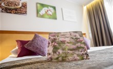 AJDA**** - Terme 3000 - Moravske Toplice