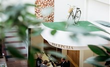AJDA**** - Terme 3000 - Moravske Toplice