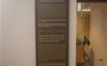 TERMAL**** - Terme 3000 - Moravske Toplice