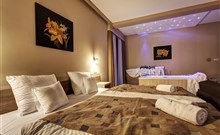 ALEXANDRA WELLNESS HOTEL*** - Jánska Dolina