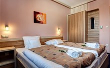 ALEXANDRA WELLNESS HOTEL*** - Jánska Dolina