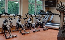 ALEXANDRA WELLNESS HOTEL*** - Jánska Dolina