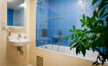 ALEXANDRA WELLNESS HOTEL*** - Jánska Dolina