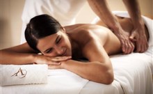 ALEXANDRA WELLNESS HOTEL*** - Jánska Dolina