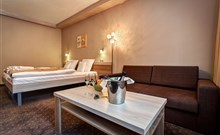 ALEXANDRA WELLNESS HOTEL*** - Jánska Dolina