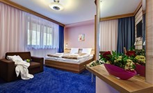 ALEXANDRA WELLNESS HOTEL*** - Jánska Dolina