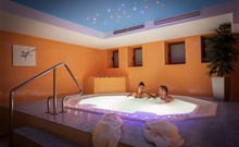 ALEXANDRA WELLNESS HOTEL*** - Jánska Dolina
