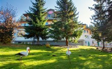 AVENA RELAX HOTEL*** - Liptovský Ján