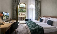 ASTORIA Hotel & Medical Spa - Karlovy Vary - ASTORIA Double room s výhledem