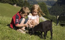 AURACH - Aurach bei Kitzbühel - Wildpark Aurach