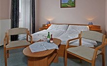 PARIS - Mariánské Lázně - Dvoulůžkový pokoj