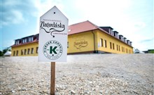 ZLATOVLÁSKA - Pluhův Žďár/Jižná
