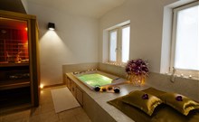 ZDRAVILIŠKI DVOR**** - Rimske Terme