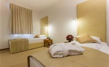 ZDRAVILIŠKI DVOR**** - Rimske Terme