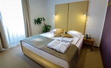 ZDRAVILIŠKI DVOR**** - Rimske Terme