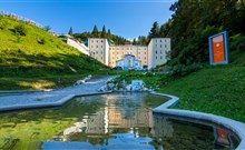 ZDRAVILIŠKI DVOR**** - Rimske Terme