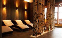 GREEN INN HOTEL OSTRAVICE - Ostravice - Hotelové wellness