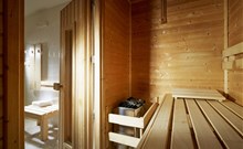 SPA HOTEL DĚVÍN 3*Superior - Mariánské Lázně - Sauna