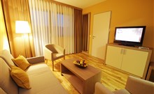 BREZA**** - Terme Olimia - Pokoj s pohledem na televizi a gauč hotelu Breza.