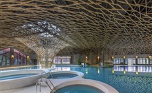 BREZA**** - Terme Olimia - ""