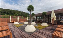 BREZA**** - Terme Olimia