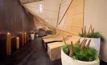 BREZA**** - Terme Olimia - ""