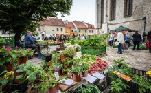 CLARION Congress Hotel České Budějovice - zdroj:České Budějovice - trh na Piaristické náměstí