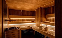 PLATINUM MOUNTAIN HOTEL & SPA***** - Szklarska Poręba