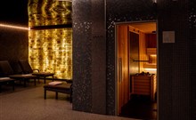 PLATINUM MOUNTAIN HOTEL & SPA***** - Szklarska Poręba