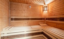 PYTLOUN WELLNESS HOTEL HASIŠTEJN - Místo - Sauna